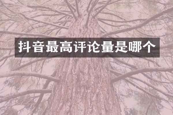 抖音最高评论量是哪个