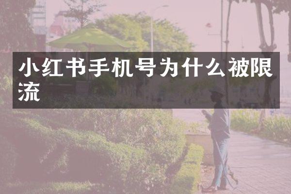 小红书手机号为什么被限流