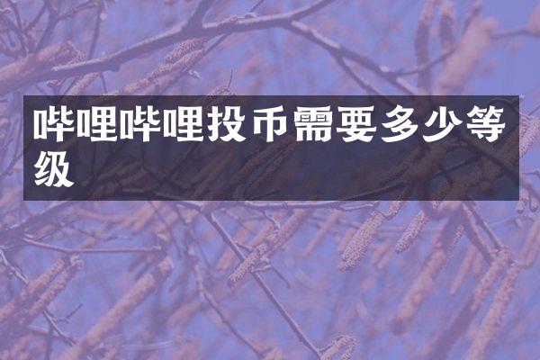 哔哩哔哩投币需要多少等级