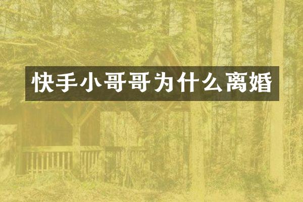 快手小哥哥为什么离婚