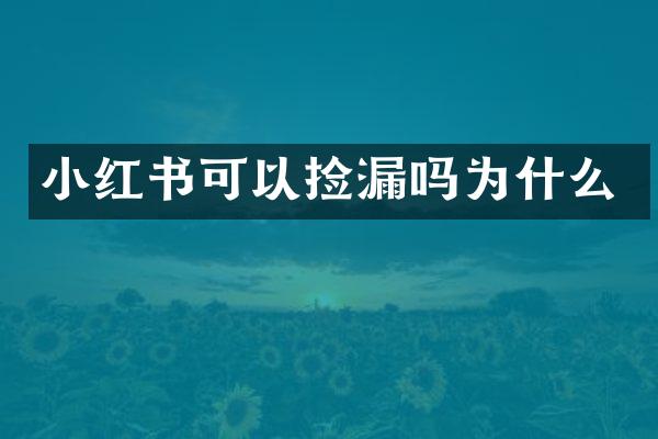 小红书可以捡漏吗为什么