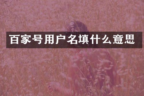百家号用户名填什么意思