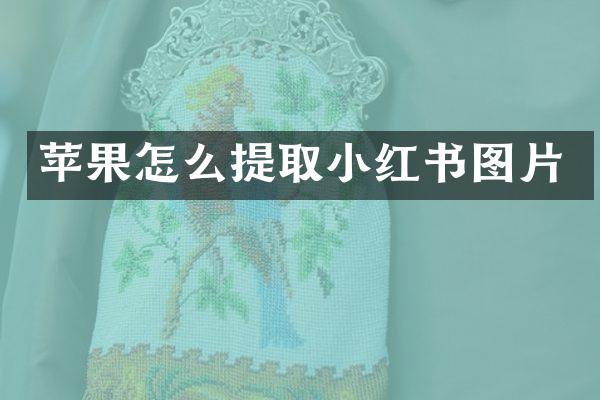 苹果怎么提取小红书图片