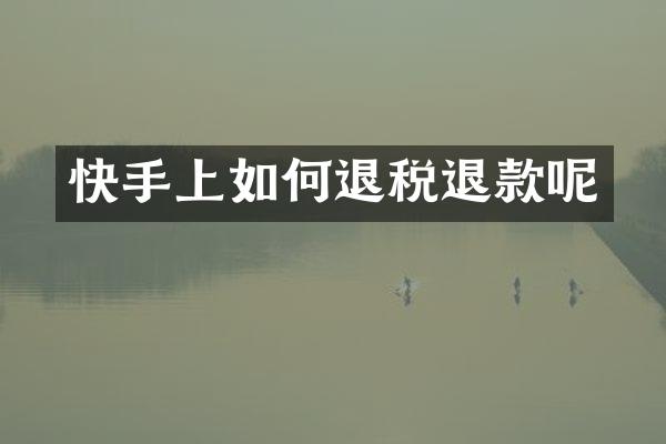 快手上如何退税退款呢
