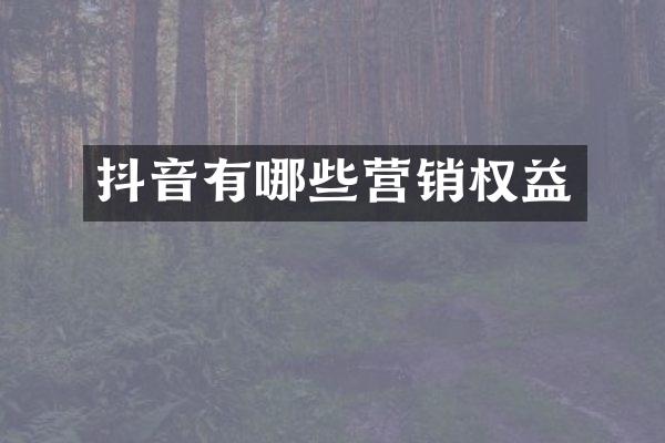 抖音有哪些营销权益