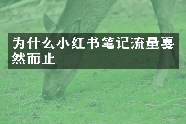 为什么小红书笔记流量戛然而止