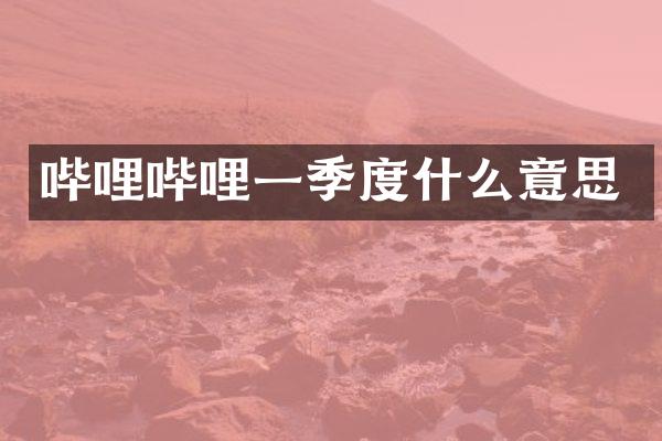 哔哩哔哩一季度什么意思