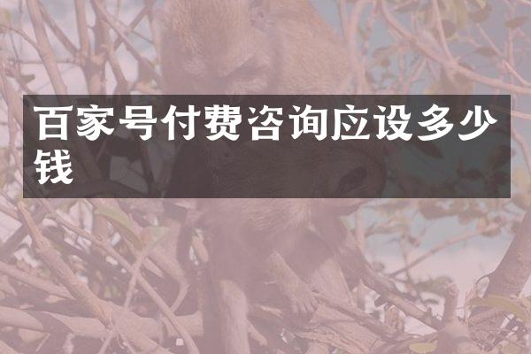 百家号付费咨询应设多少钱