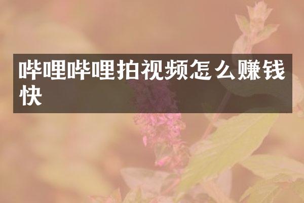 哔哩哔哩拍视频怎么赚钱快