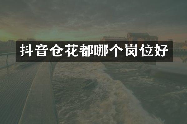 抖音仓花都哪个岗位好