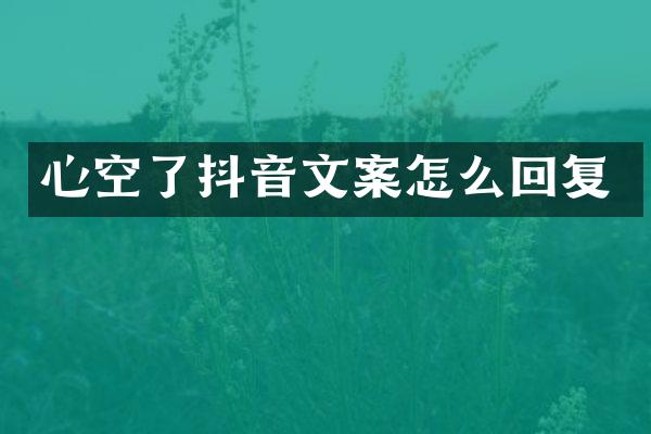 心空了抖音文案怎么回复