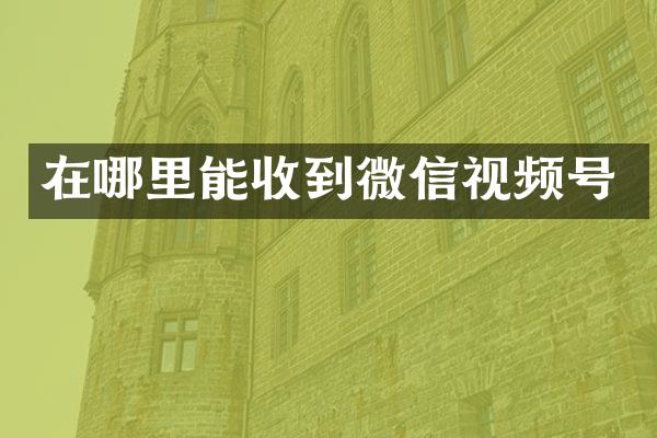 在哪里能收到微信视频号