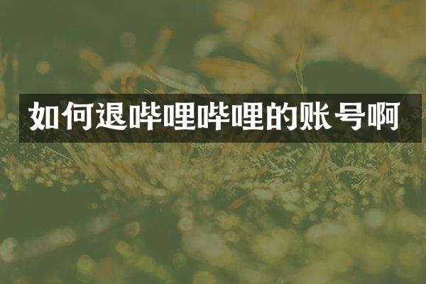 如何退哔哩哔哩的账号啊