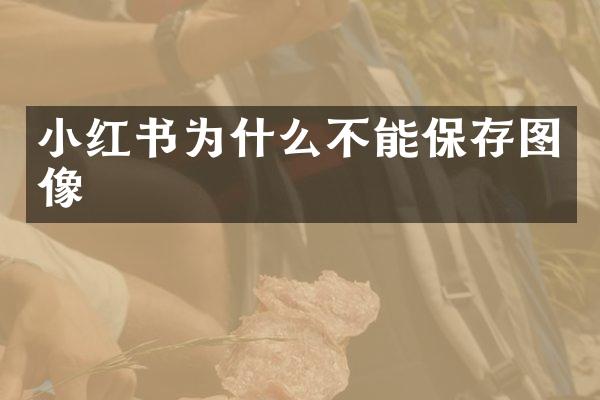 小红书为什么不能保存图像