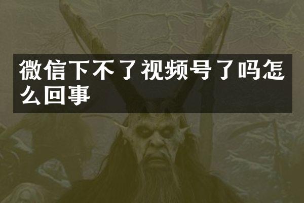 微信下不了视频号了吗怎么回事