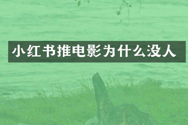 小红书推电影为什么没人
