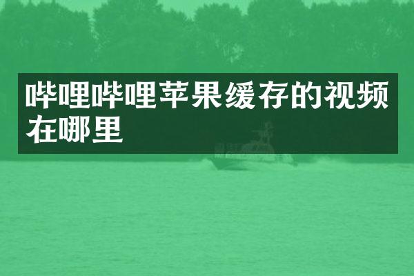 哔哩哔哩苹果缓存的视频在哪里