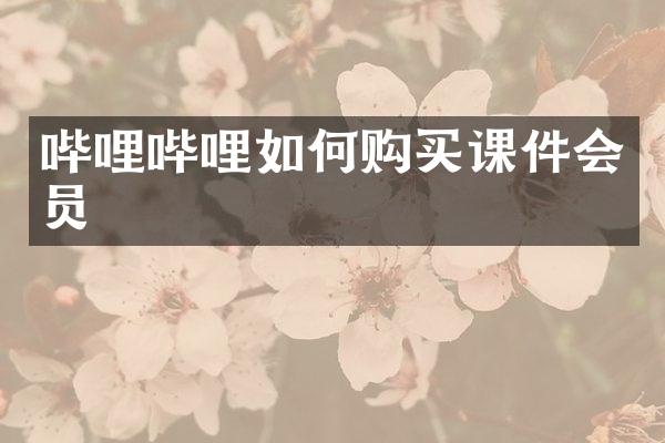 哔哩哔哩如何购买课件会员