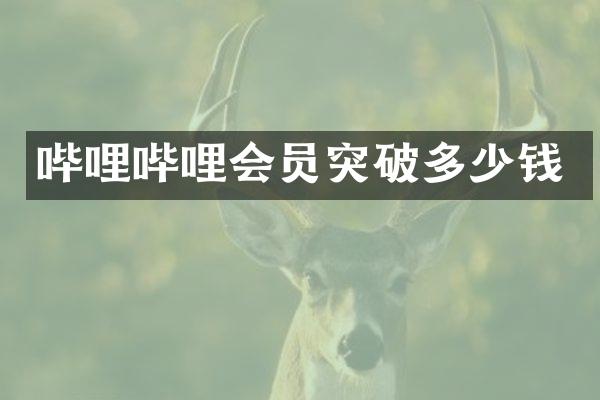 哔哩哔哩会员突破多少钱