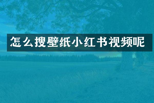 怎么搜壁纸小红书视频呢