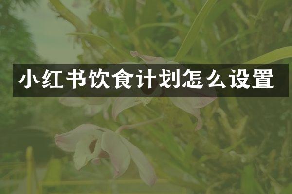 小红书饮食计划怎么设置