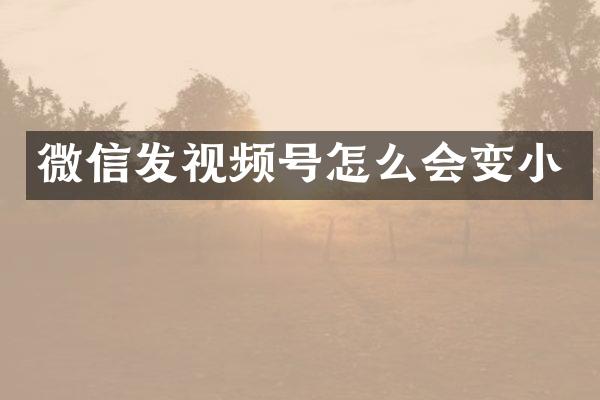 微信发视频号怎么会变小
