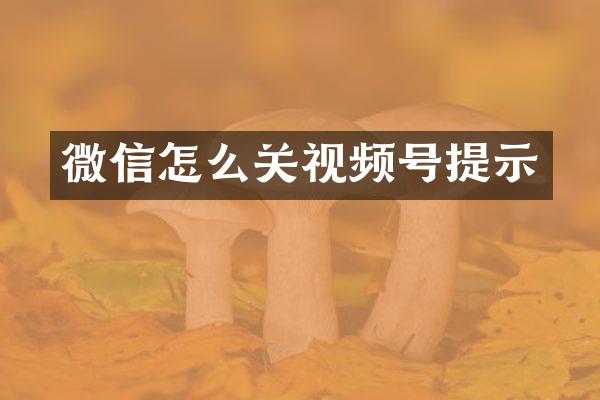 微信怎么关视频号提示