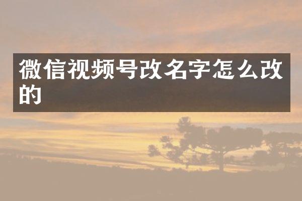 微信视频号改名字怎么改的