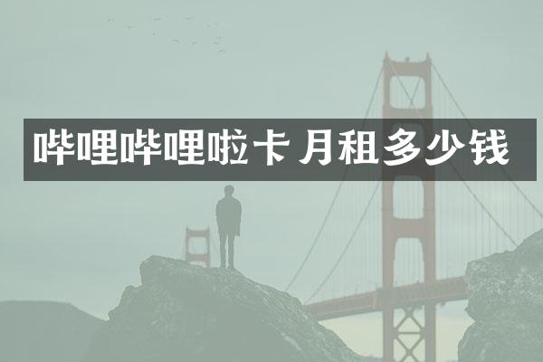 哔哩哔哩啦卡月租多少钱