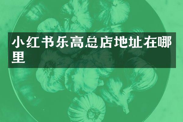 小红书乐高总店地址在哪里