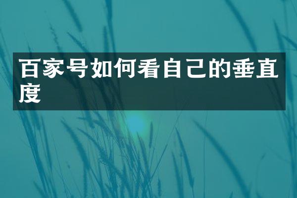 百家号如何看自己的垂直度