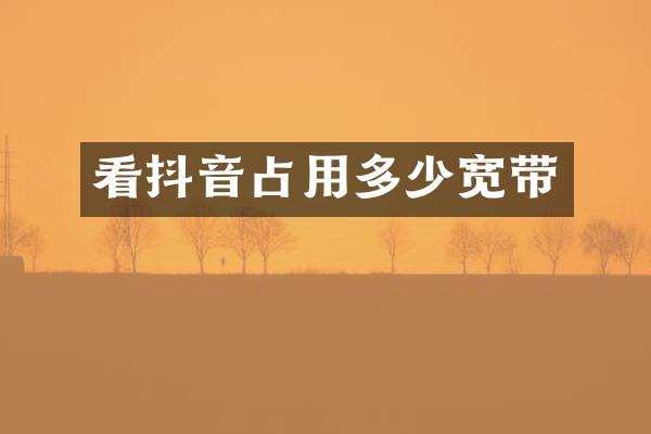 看抖音占用多少宽带
