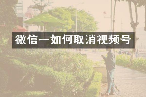 微信一如何取消视频号