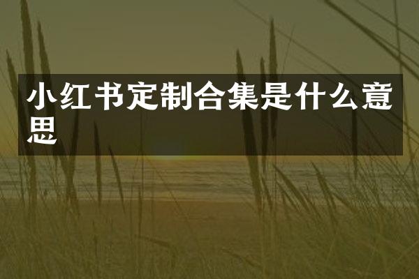 小红书定制是什么意思