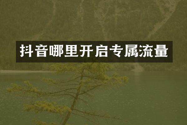 抖音哪里开启专属流量