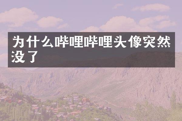 为什么哔哩哔哩头像突然没了