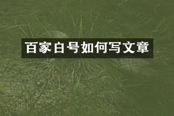 百家白号如何写文章