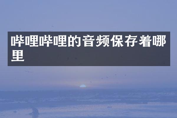 哔哩哔哩的音频保存着哪里