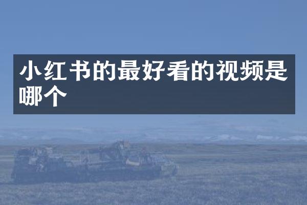 小红书的最好看的视频是哪个