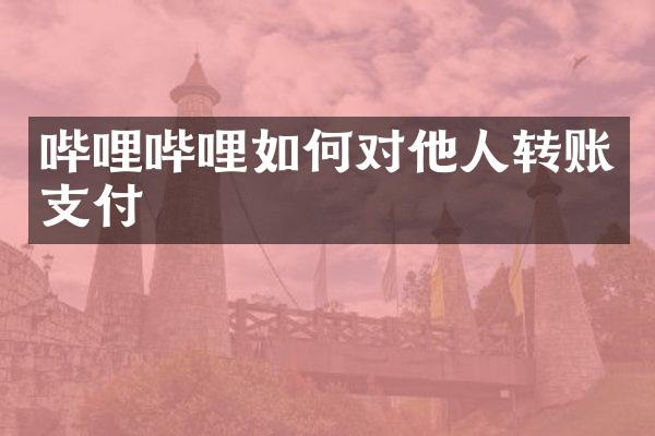 哔哩哔哩如何对他人转账支付