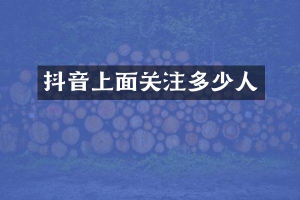 抖音上面关注多少人