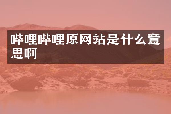 哔哩哔哩原网站是什么意思啊