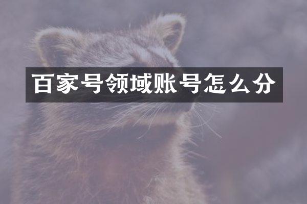 百家号领域账号怎么分