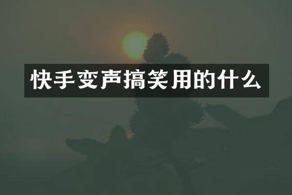 快手变声搞笑用的什么