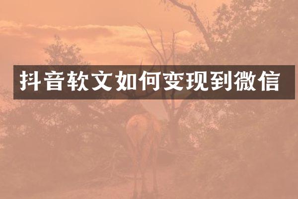 抖音软文如何变现到微信