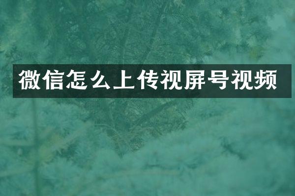 微信怎么上传视屏号视频