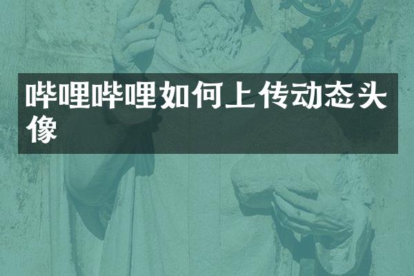 哔哩哔哩如何上传动态头像