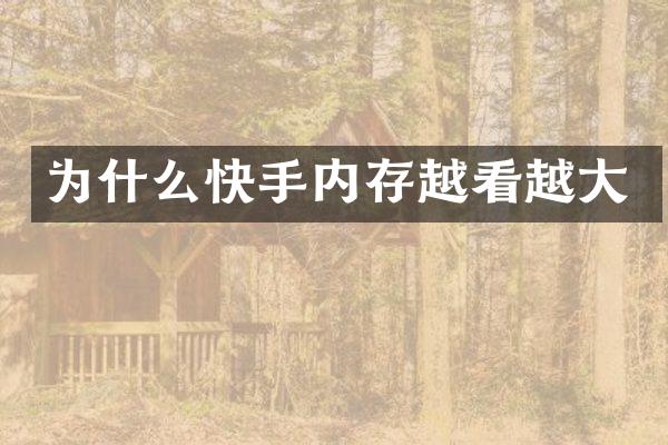 为什么快手内存越看越大