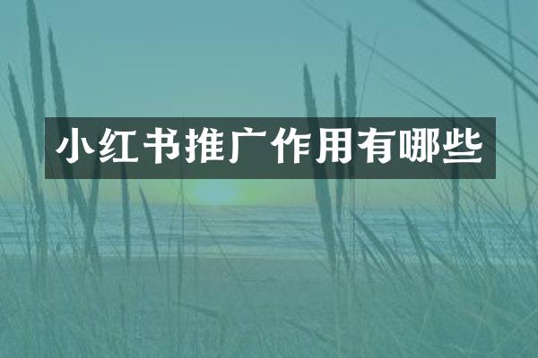 小红书推广作用有哪些