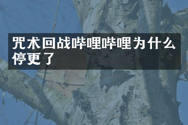 咒术回战哔哩哔哩为什么停更了